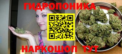 СК Моздок