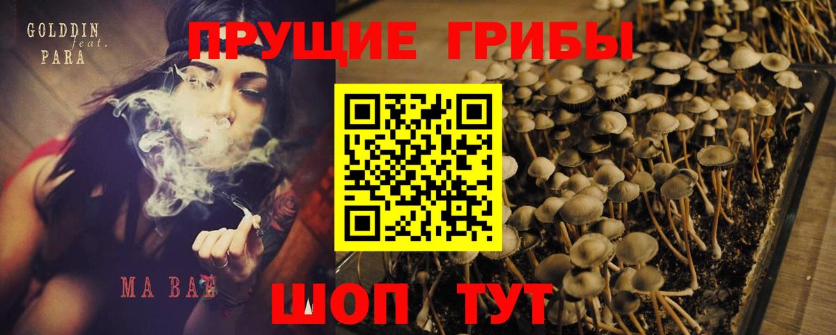 где продают   Вход с VPN  Выкса  Галлюциногенные грибы мицелий 
